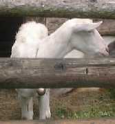 1998730yuki.jpg (4474 oCg)